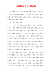 支部副书记个人对照材料