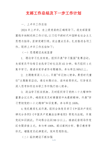 支部工作总结及下一步工作计划