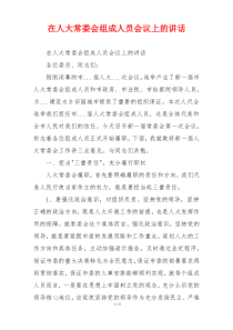 在人大常委会组成人员会议上的讲话