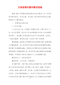 支部查摆问题和整改措施