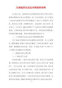 支部组织生活会对照剖析材料