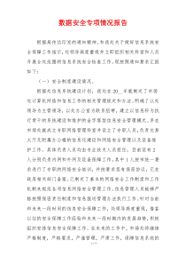 数据安全专项情况报告