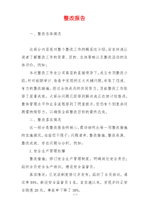 整改报告