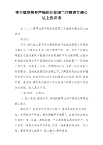 在乡镇帮扶资产规范化管理工作推进专题会议上的讲话