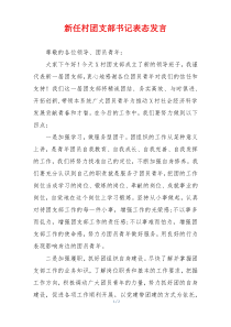 新任村团支部书记表态发言