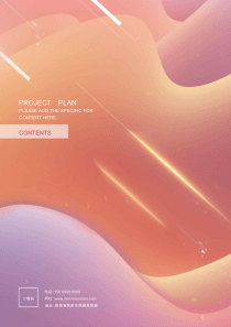 粉色项目报告封面设计