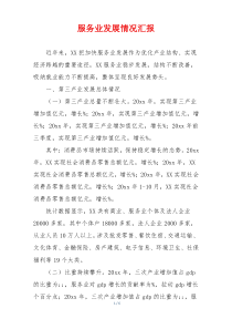 服务业发展情况汇报