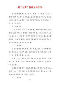 村“三资”管理工作计划