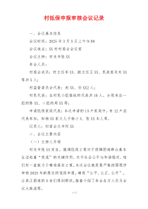 村低保申报审核会议记录