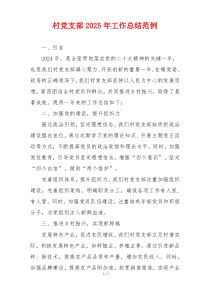 村党支部2025年工作总结范例