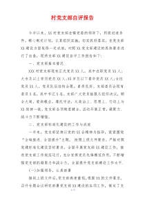 村党支部自评报告