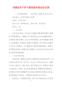村委会关于村干部发放补助会议记录
