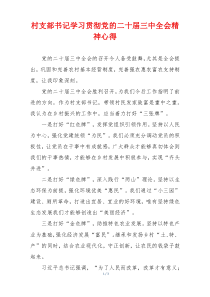 村支部书记学习贯彻党的二十届三中全会精神心得