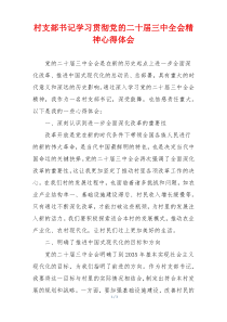 村支部书记学习贯彻党的二十届三中全会精神心得体会