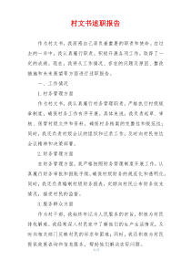 村文书述职报告