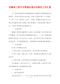 村集体三资平台管理自查自纠报告工作汇报