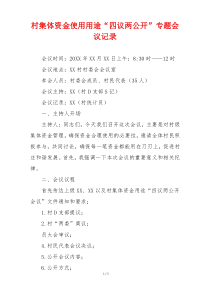 村集体资金使用用途“四议两公开”专题会议记录