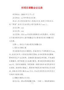 村项目调整会议记录