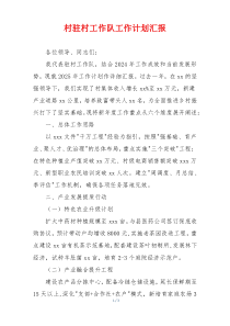 村驻村工作队工作计划汇报