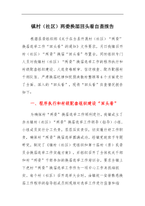 镇村社区两委换届回头看自查报告