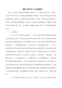 镇长20XX年个人述法报告