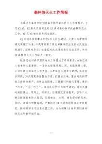 森林防灭火工作简报