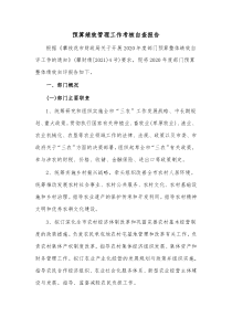 预算绩效管理工作考核自查报告1