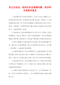 民主生活会、组织生活会查摆问题、批评和自我批评意见