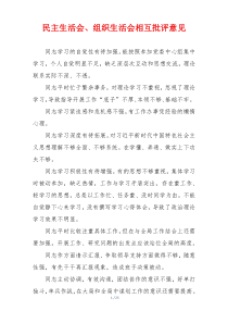 民主生活会、组织生活会相互批评意见