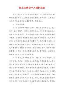 民主生活会个人剖析发言