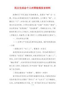 民主生活会个人对照检视发言材料