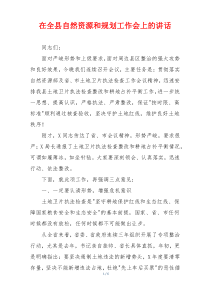 在全县自然资源和规划工作会上的讲话