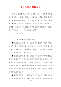 民主生活会剖析材料