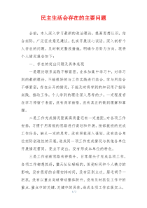 民主生活会存在的主要问题