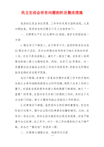 民主生活会存在问题剖析及整改措施