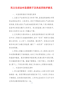 民主生活会对县委班子及其成员批评意见