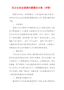 民主生活会查摆问题整改方案（详情）