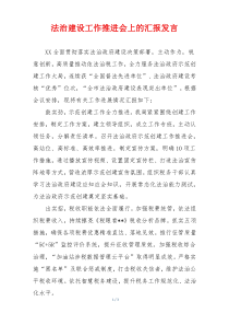 法治建设工作推进会上的汇报发言