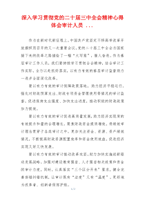 深入学习贯彻党的二十届三中全会精神心得体会审计人员 ...