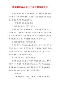 清明期间森林防火工作开展情况汇报