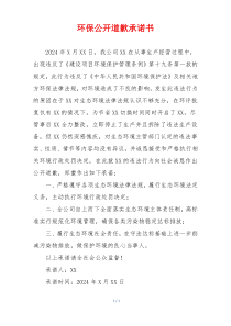环保公开道歉承诺书