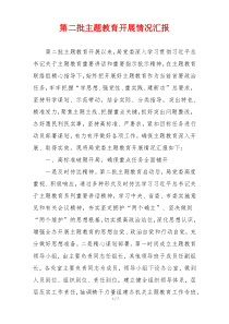 第二批主题教育开展情况汇报