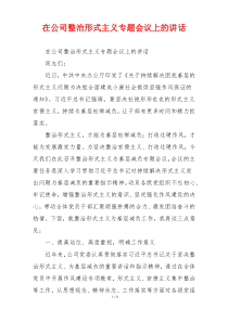 在公司整治形式主义专题会议上的讲话