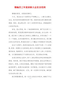 精编员工年度表彰大会发言范例
