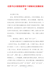 纪委书记对新提拔青年干部集体任前廉政谈话