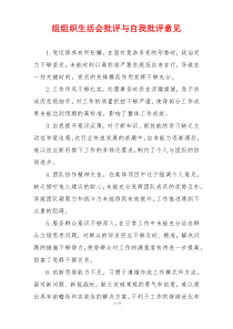 组组织生活会批评与自我批评意见