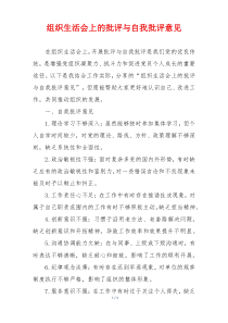 组织生活会上的批评与自我批评意见