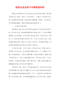 组织生活会班子对照检查材料