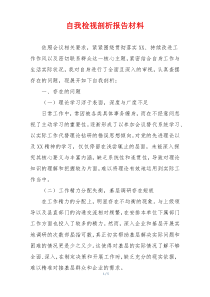 自我检视剖析报告材料