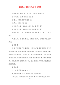 补选村副支书会议记录